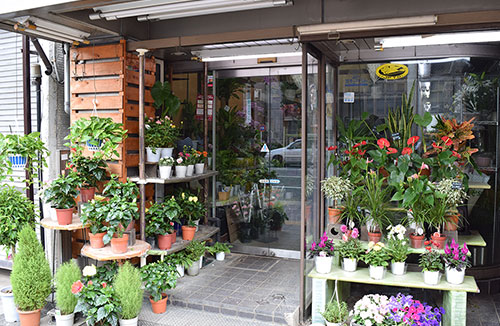 王子の花屋「はなきち 本店」
